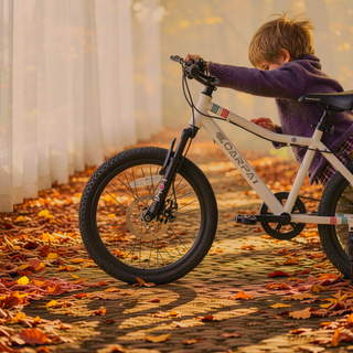 Sunvega 20 Inch Kids' Mountain Bike with 7 Speed Shimano Shifter and Front Suspension