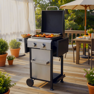 Sunvega 2-Burner Propane Gas BBQ Grill With 24600BTU Output And Foldable Side Table
