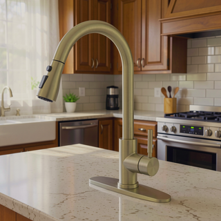 Sunvega Single Handle Kitchen Sink Faucet with Pull Out Sprayer and Deck Plate