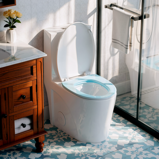 Sunvega Modern Fan-Shaped Design One-Piece Toilet with Dual Flush and Soft Close Seat
