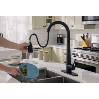 Sunvega Single Handle Stainless Steel Kitchen Sink Faucet with Pull Down Sprayer