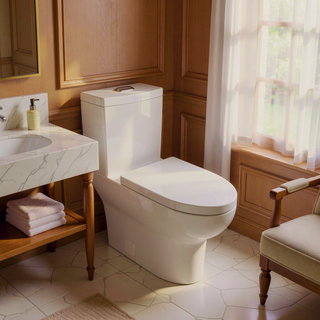 Sunvega Modern One Piece Toilet with Soft Closing Seat and Powerful Flushing