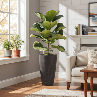Sunvega 2 Pack Tall 21.7 Inch Crack-Resistant UV-Resistant Matte Planter Box for Indoor Outdoor