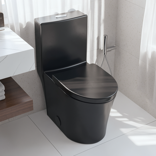 Sunvega Modern Matte Black Elongated One Piece Toilet with Dual Flush System