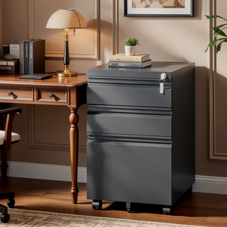 Sunvega 2 Drawer Mobile File Cabinet with Lock for Legal Letter A4 Size