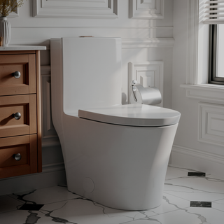 Sunvega Modern Matte Black Elongated One Piece Toilet with Dual Flush System