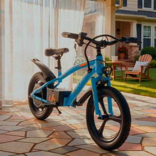 Sunvega 300W Super Power Motor Kids Ride On Electric Dirt Bike with 16in Wheels