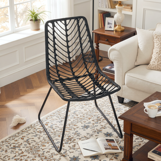 Sunvega Transitional Polyethylene Rattan Dining Chairs with Water-Resistant Cushions