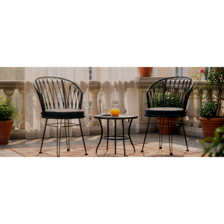 Sunvega Transitional Polyethylene Rattan Dining Chairs with Water-Resistant Cushions