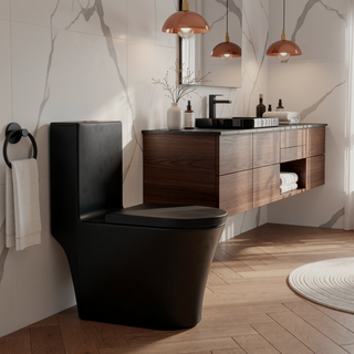 Sunvega Modern Matte Black Elongated One Piece Toilet with Dual Flush System