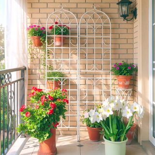 Sunvega Easy to Assemble 86.7 x 19.7 Inch Metal Garden Trellis for Climbing Plants