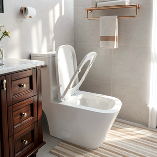 Sunvega Modern One Piece Toilet with Soft Closing Seat and Powerful Flushing
