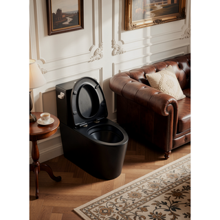 Sunvega Dual Flush One Piece Toilet with Soft Close Seat Elongated Comfort Height