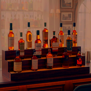 Sunvega 24 Inch Freestanding LED Lighted Liquor Bottle Display Shelf with App Remote Control