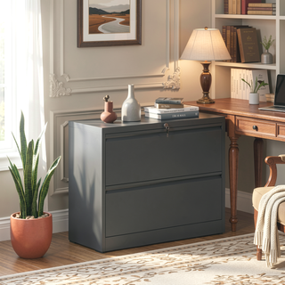Sunvega 4 Drawer Lateral Metal File Cabinet with Lock for Home Office