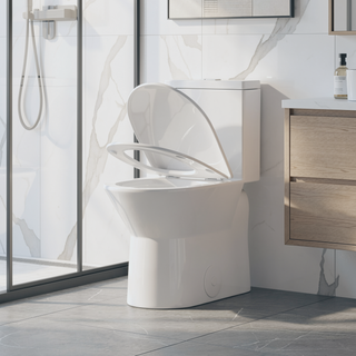 Sunvega One-Piece Toilet with Rimless Siphon Flush and Soft Closing Seat ADA Height