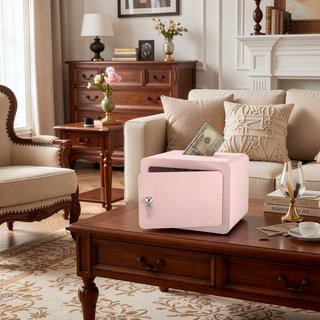 Sunvega Compact Key And Password Safe For Money Documents And Valuables