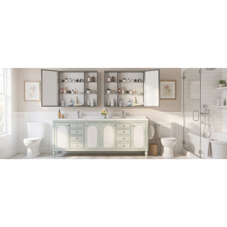 Sunvega Wall Mounted Medicine Cabinet with Mirror and Adjustable Storage Shelves