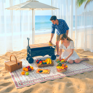 Sunvega Reversible Outdoor Rug with Protective Coating and Strap Stakes for Patio
