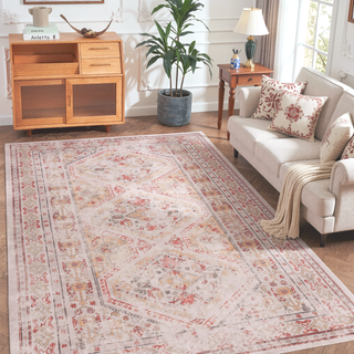 Sunvega Machine Washable Non-Slip Low-Pile Area Rug for Living Room Bedroom Kitchen