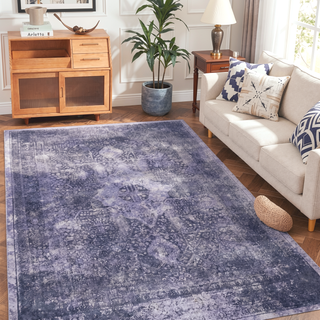 Sunvega Machine Washable Non-Skid Low-Pile 5x8 Area Rug for Bedroom Living Room