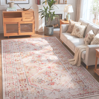 Sunvega Machine Washable Non-Slip Low-Pile Area Rug for Living Room Bedroom Kitchen