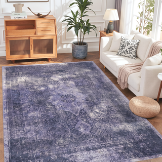 Sunvega Machine Washable Non-Skid Low-Pile 5x8 Area Rug for Bedroom Living Room
