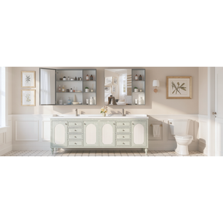Sunvega Wall Mounted Medicine Cabinet with Mirror and Adjustable Storage Shelves
