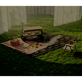 Sunvega Reversible Outdoor Rug with Protective Coating and Strap Stakes for Patio