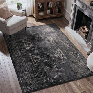 Sunvega Machine Washable Low-Pile Non-Slip Area Rug for Living Room Bedroom Kitchen