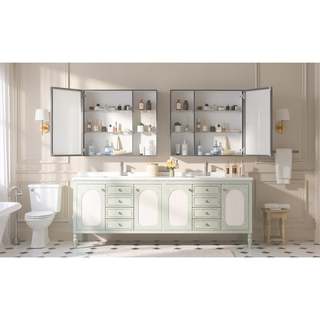 Sunvega Wall Mounted Medicine Cabinet with Mirror and Adjustable Storage Shelves