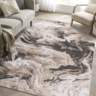 Sunvega Abstract Non-Shedding Stain Resistant Area Rug for Living Room and Bedroom