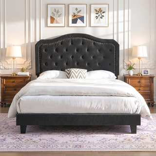 Sunvega Black Velvet Queen Upholstered Bed with Button Tufted Curve Design and LED Lights