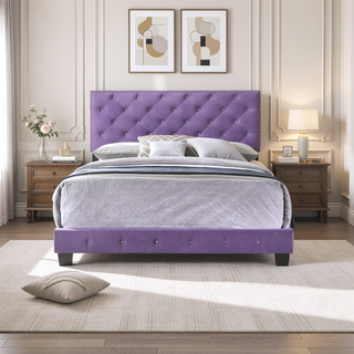 Sunvega Purple Transitional Queen Bed with Vibrant Finish and Sturdy Support