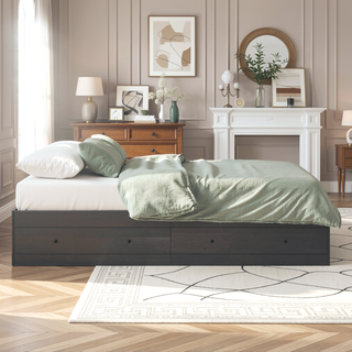 Sunvega Black Queen Size Storage Bed with Spacious Under-Bed Drawers