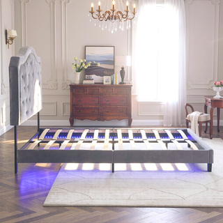 Sunvega Black Velvet Queen Upholstered Bed with Button Tufted Curve Design and LED Lights