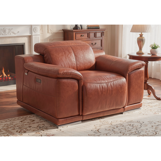 Sunvega Genuine Italian Leather Power Recliner with USB Charger and Chrome Legs