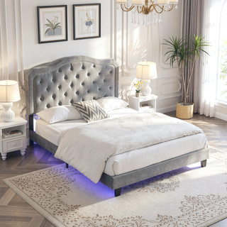 Sunvega Black Velvet Queen Upholstered Bed with Button Tufted Curve Design and LED Lights