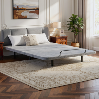 Sunvega Ergonomic Queen Size Adjustable Bed Frame with Wireless Remote Control and Massager