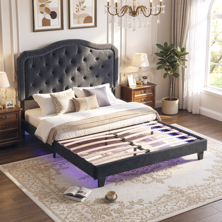 Sunvega Black Velvet Queen Upholstered Bed with Button Tufted Curve Design and LED Lights