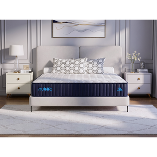 Sunvega 12" Twin Size Premier Luxury Hybrid Mattress with Cooling Foams