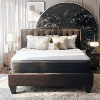 Sunvega Plush Queen Size Hybrid Mattress with Gel Memory Foam and Pocket Coils