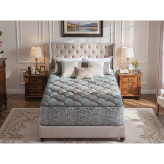 Sunvega 7 Inch Plush Medium Comfort Foam Core Mattress with TruComfort Support
