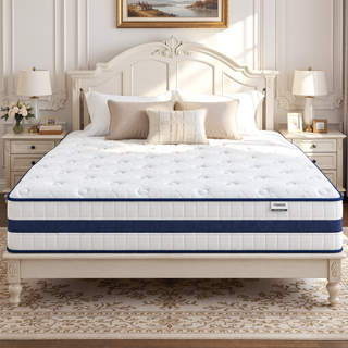 Sunvega 10 Inch Queen Hybrid Mattress in a Box with Cooling Memory Foam