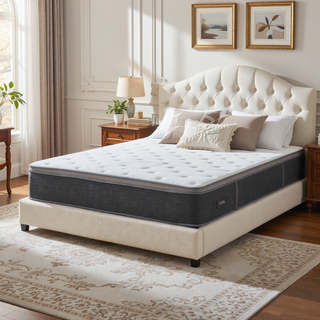 Sunvega 12 in. Queen Plush Gel Memory Foam Hybrid Mattress with Euro Top and Pocket Coils