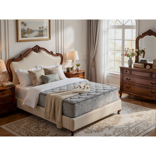 Sunvega 7 Inch Plush Medium Comfort Foam Core Mattress with TruComfort Support