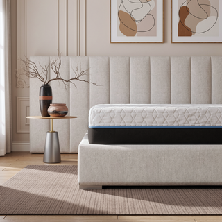 Sunvega Copper Infused 12 Inch Soft Memory Foam Split Top Queen Mattress