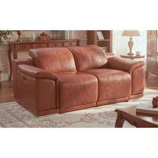 Sunvega Genuine Italian Leather Power Reclining Loveseat with USB Charger