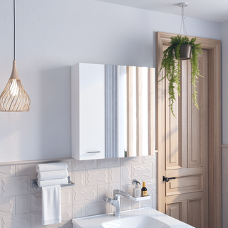 Sunvega Double Door Medicine Cabinet with Four Interior Shelves and Ample Mirror
