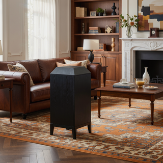 Sunvega Mason Black Wood Dresser with Wire Brushed Finish and Golden Handles